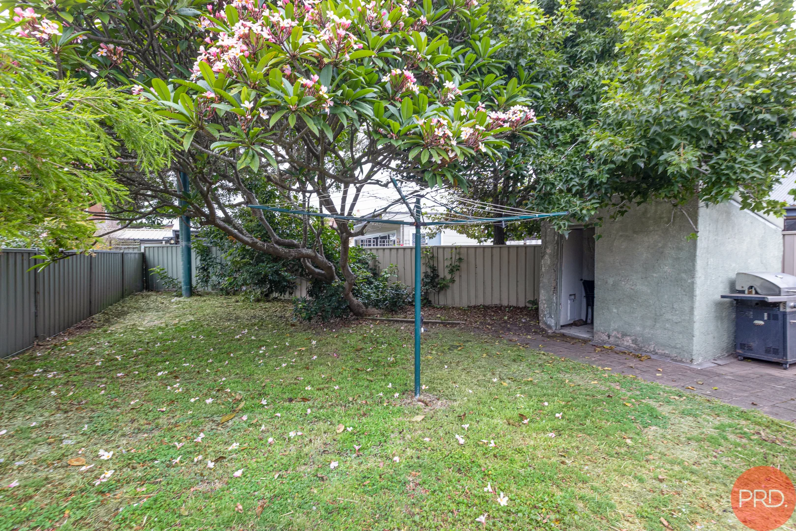 Image 15
