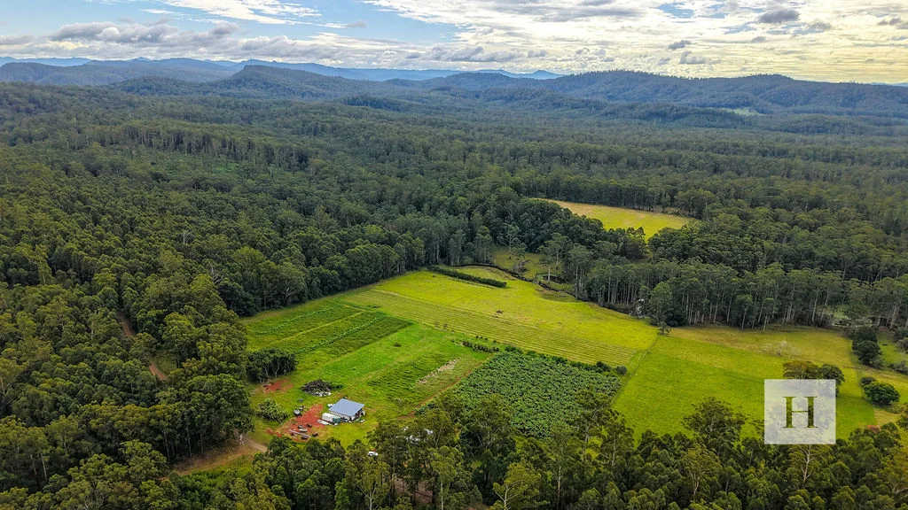 Additional image 18 of 200 Coopernook Forest Way, Lansdowne Forest NSW 2430