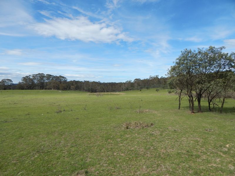 Lot 119-125/127 Newline Road, Glen Allen NSW 2631, Image 0