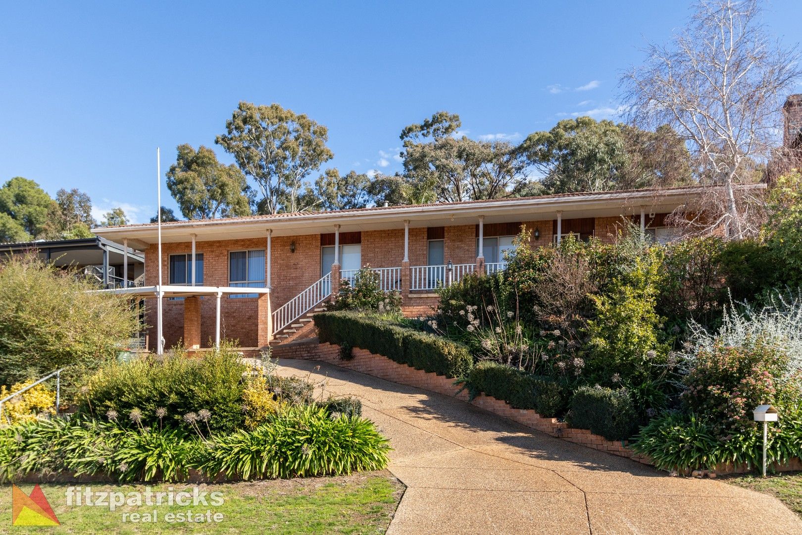 24 Andrews Avenue, Kooringal NSW 2650, Image 0