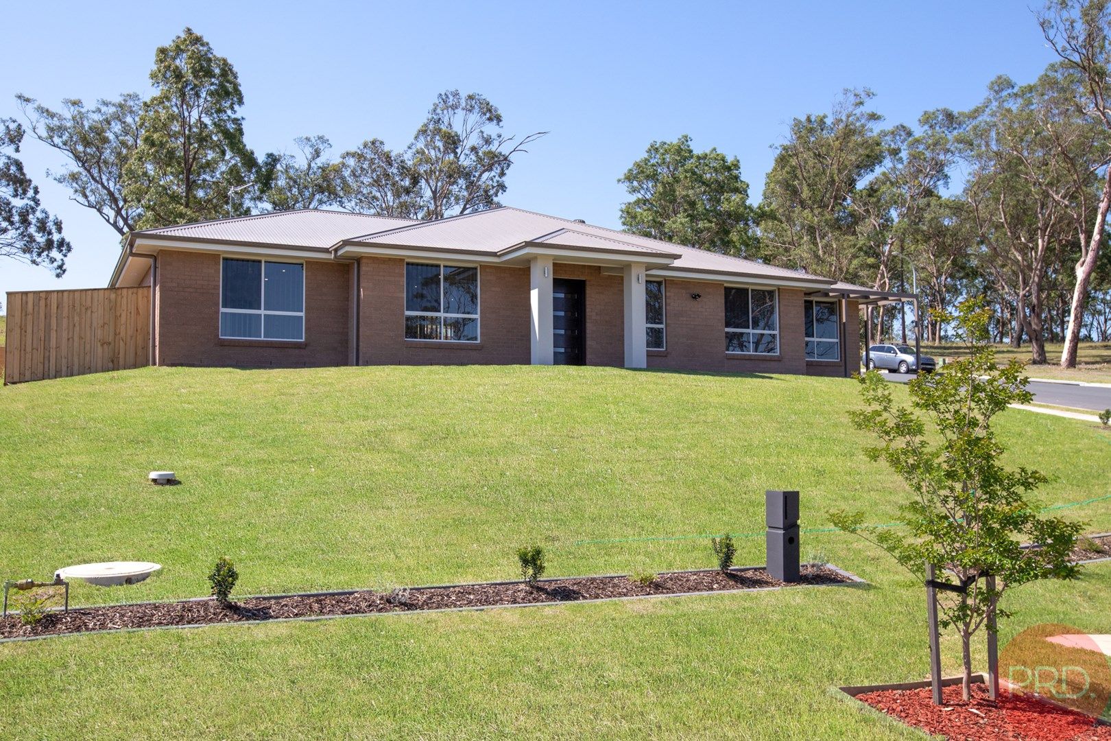 19 Dinton Street, Greta NSW 2334, Image 0