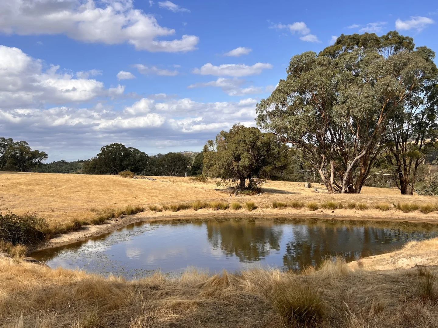 Additional image 19 of Lot 241 Hearn Street, Bigga NSW 2583