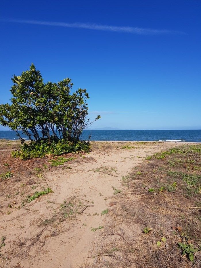 0 Poppis Road, Forrest Beach QLD 4850, Image 1