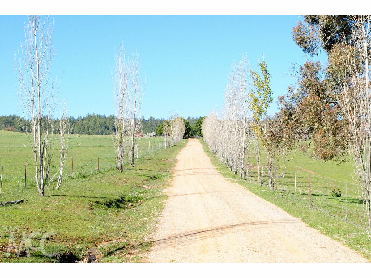 'Wendouree' 2013 Cargo Road, Orange NSW 2800, Image 2