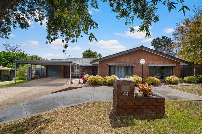 Picture of 44 Currawong Crescent, MODBURY HEIGHTS SA 5092
