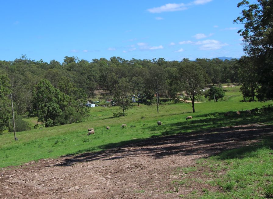 53153 Delaney Creek Road, Delaneys Creek QLD 4514 House for Sale