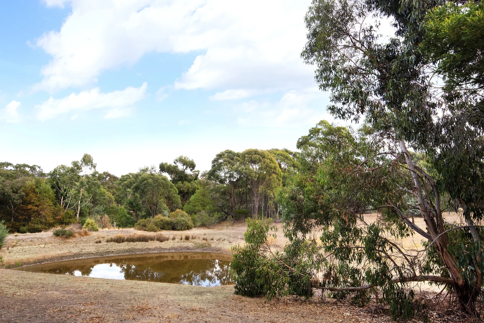 Additional image 13 of 54 Mount View Drive, Elphinstone VIC 3448