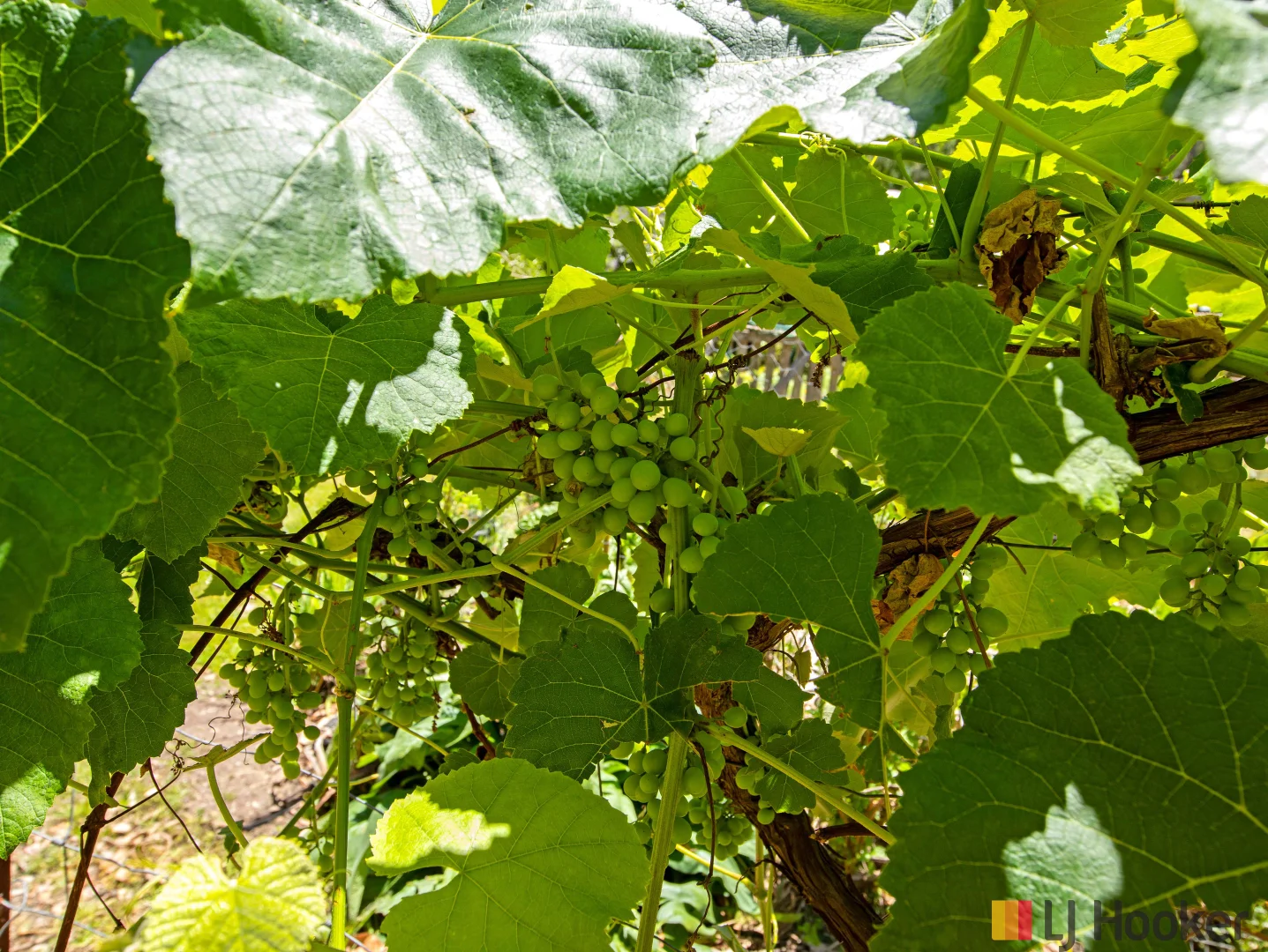 Additional image 43 of 748 The Ridge Road, Malua Bay NSW 2536