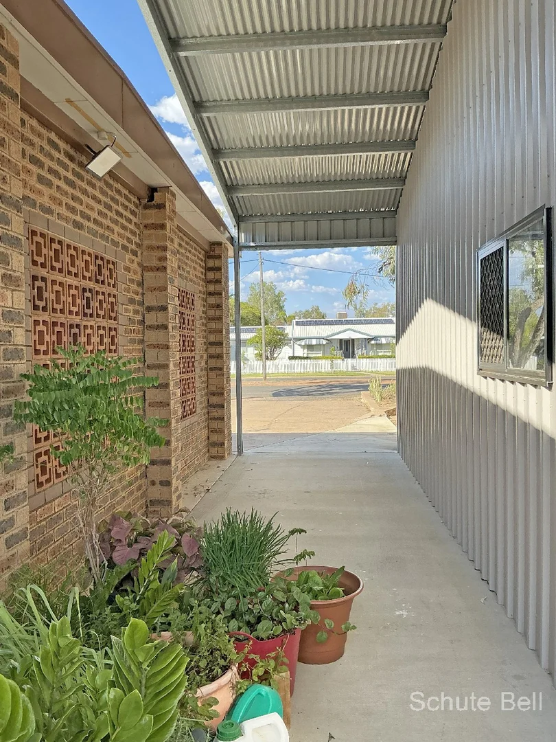 Image 19