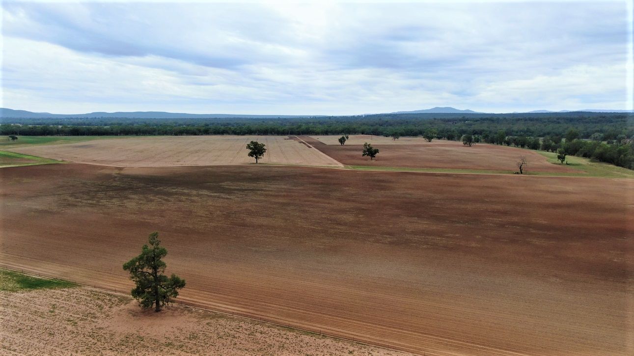 9005 Black Stump Way, Tambar Springs NSW 2381 House for Sale