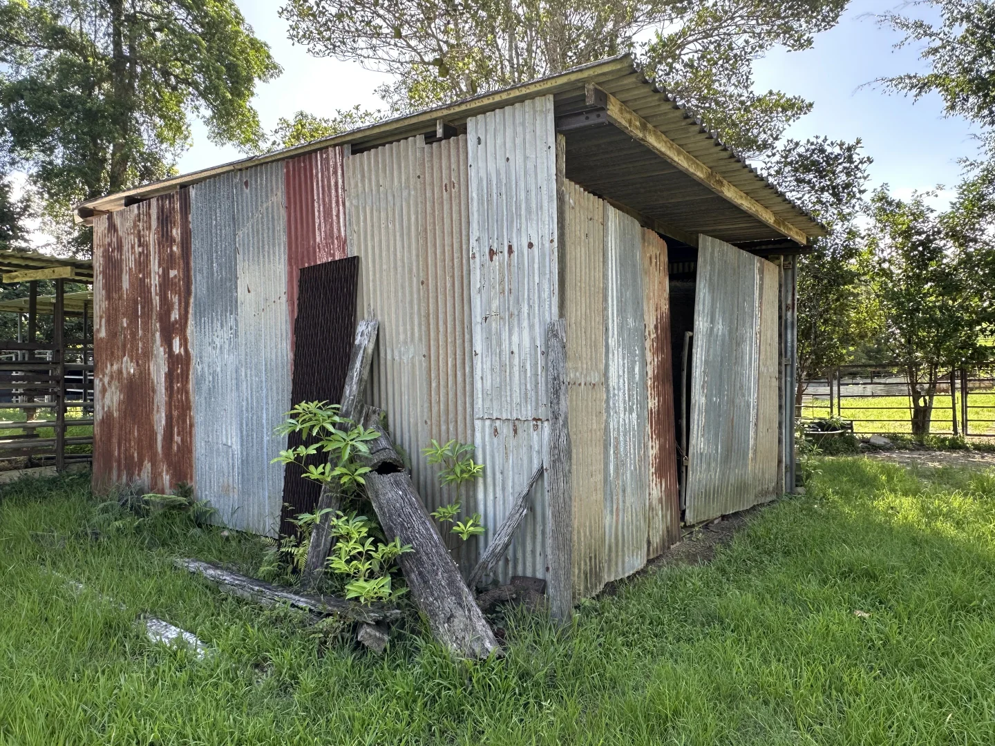 Image 24