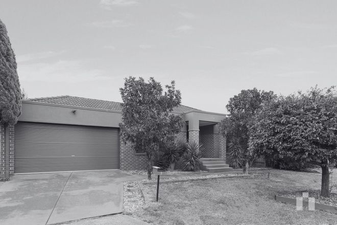 Picture of 3 Wiregrass Court, SOUTH MORANG VIC 3752