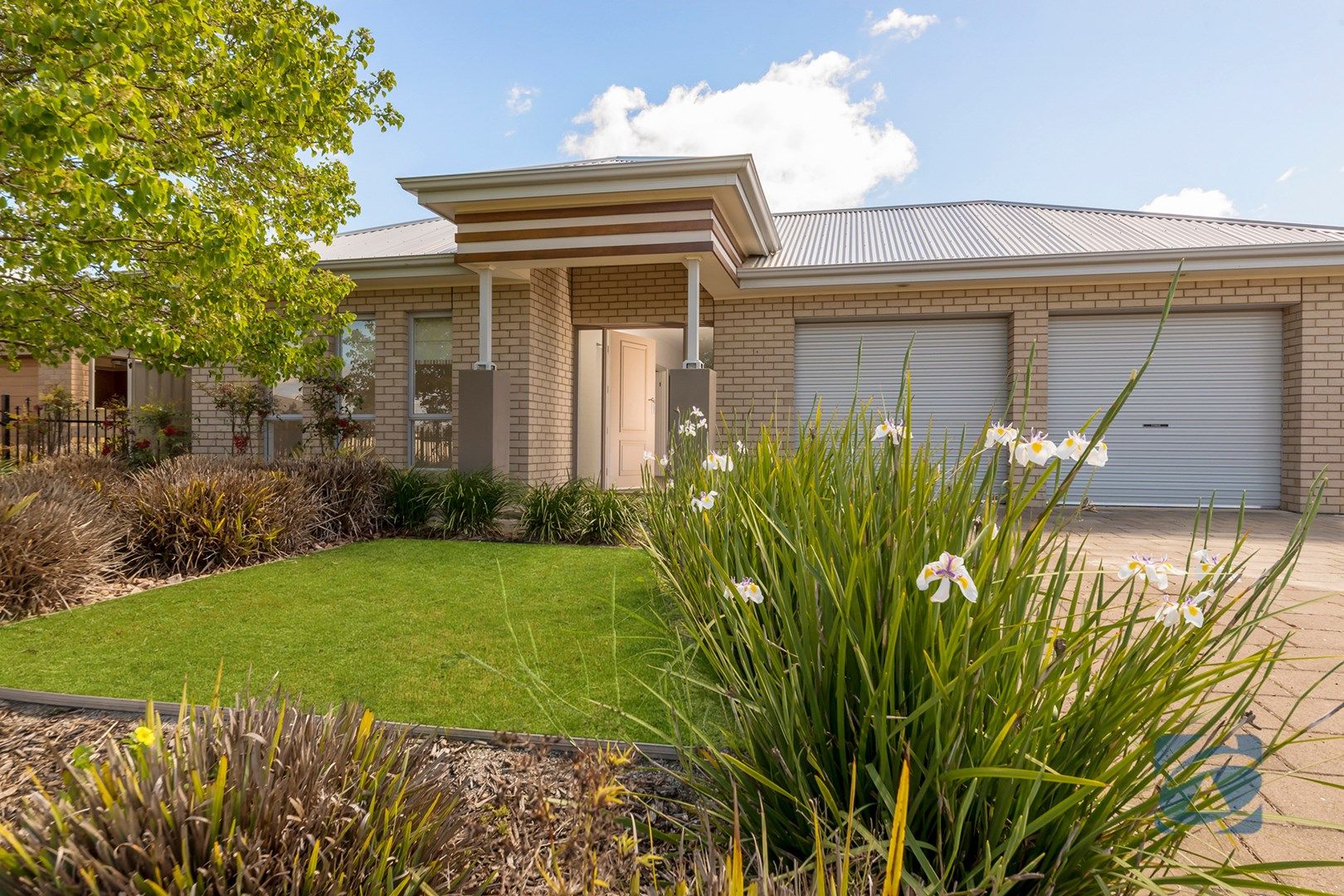 91 Hanson Street, Freeling SA 5372, Image 0