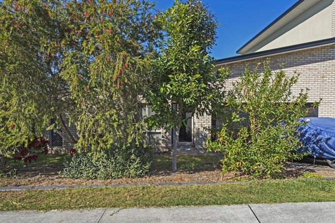 Picture of 1/14 Tallon Street, UPPER COOMERA QLD 4209
