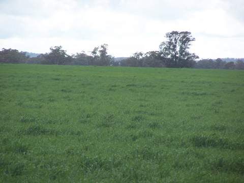 - Eastleigh, Wyalong NSW 2671, Image 0