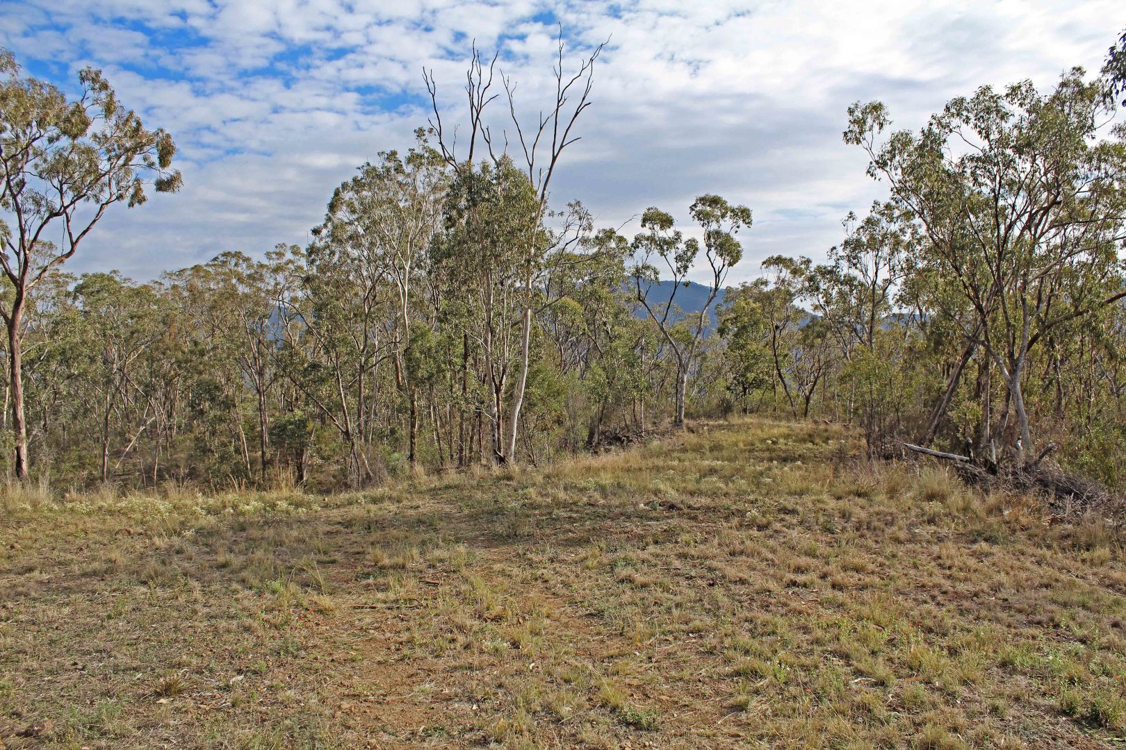 Swanfels QLD 4371, Image 2