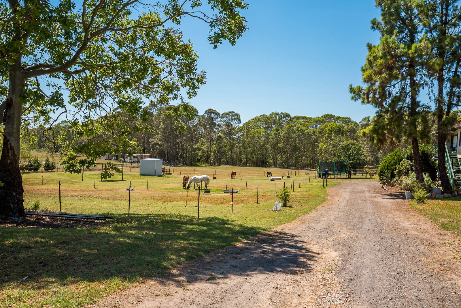 24 Reynolds Road, Londonderry NSW 2753, Image 2