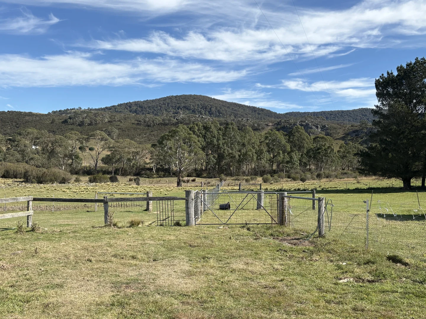 Image 25