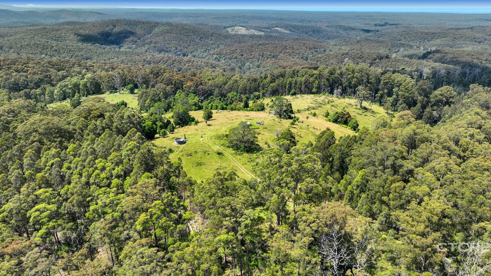 58 Towzer Creek Road, Cabbage Tree Creek VIC 3889, Image 1