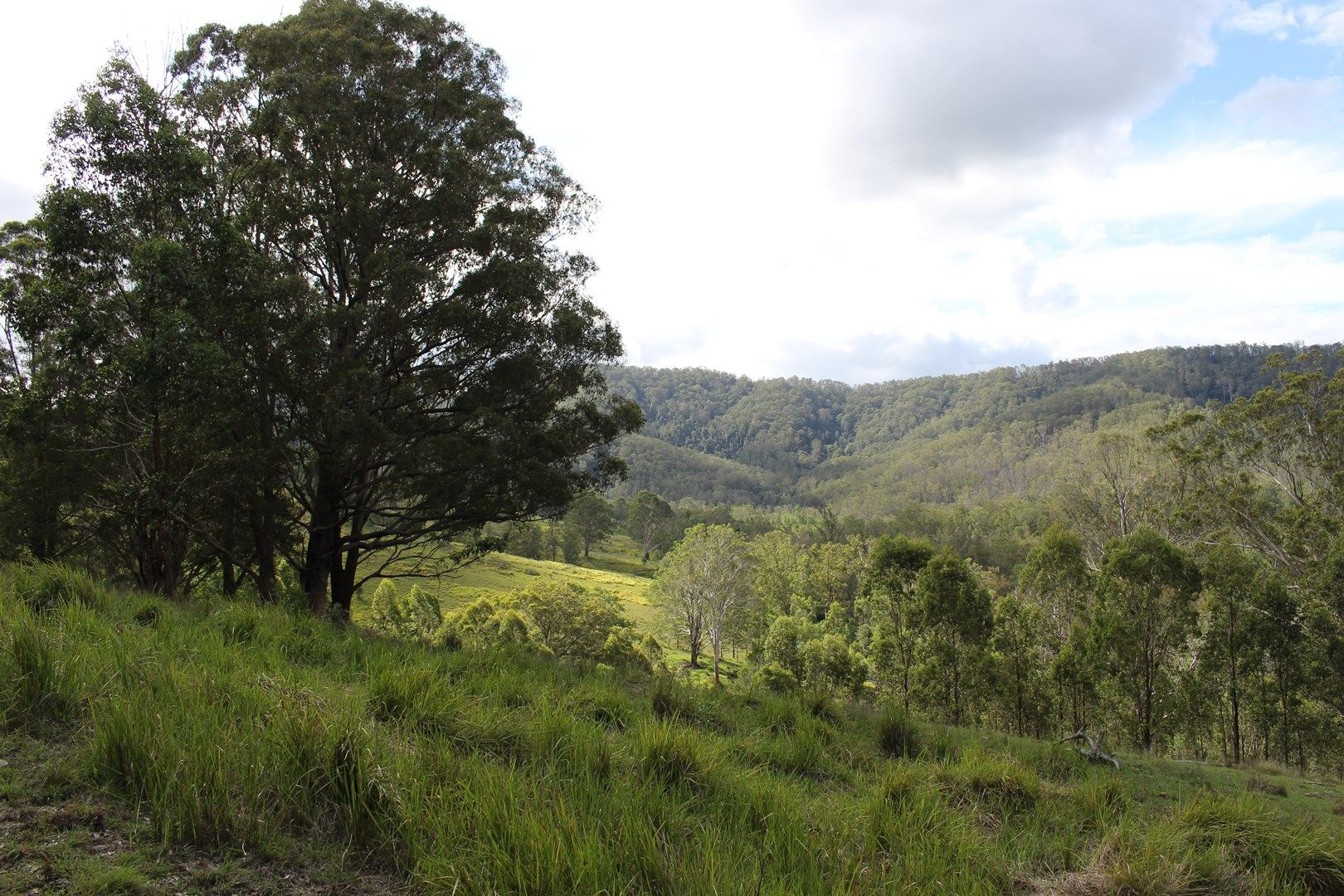 Lot 117 Bowman River Road, Gloucester NSW 2422, Image 0