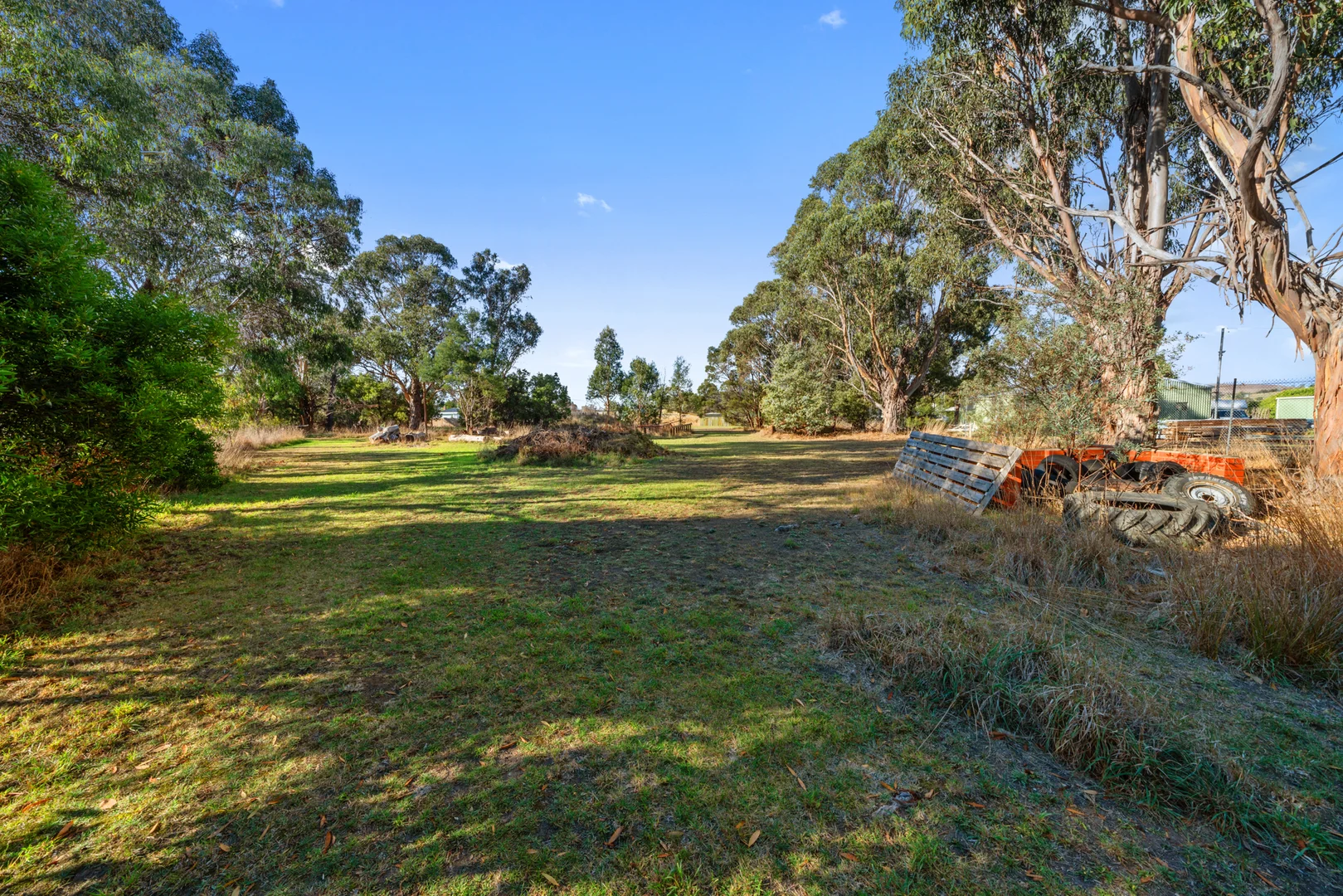 Image 12