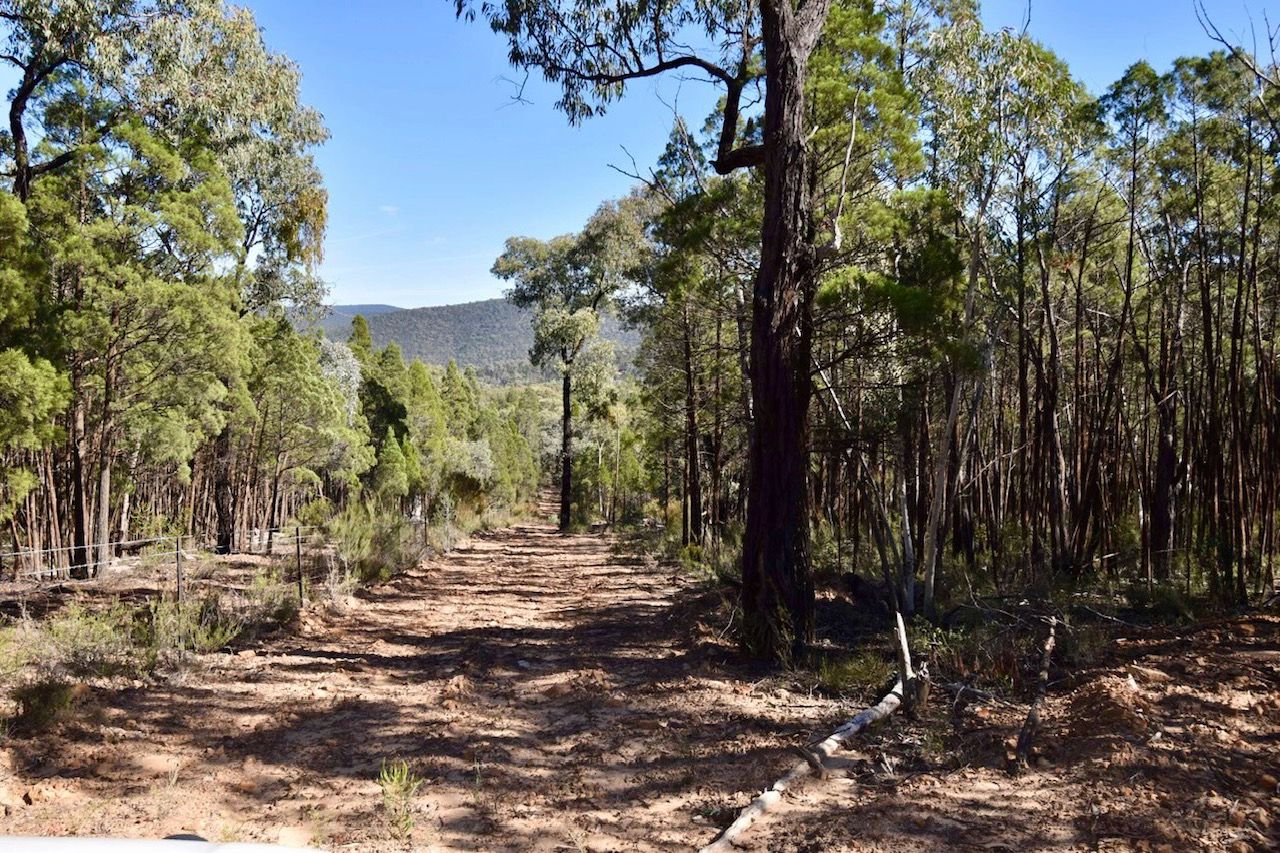 Gooloogong NSW 2805, Image 1