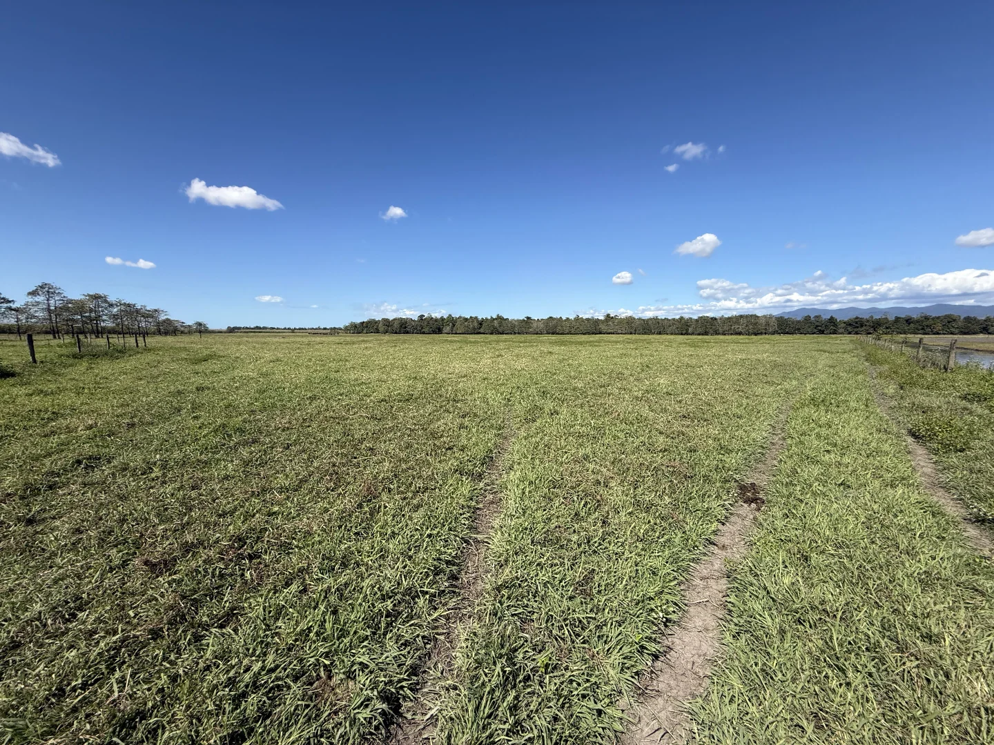 Euramo QLD 4854 photo 3