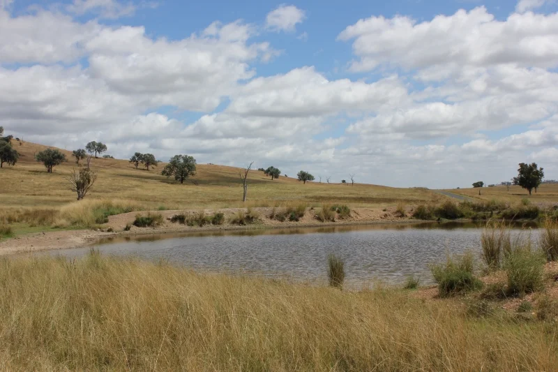 Additional image 21 of 'Fernlee' 557 Pindari Dam Rd, Ashford NSW 2361
