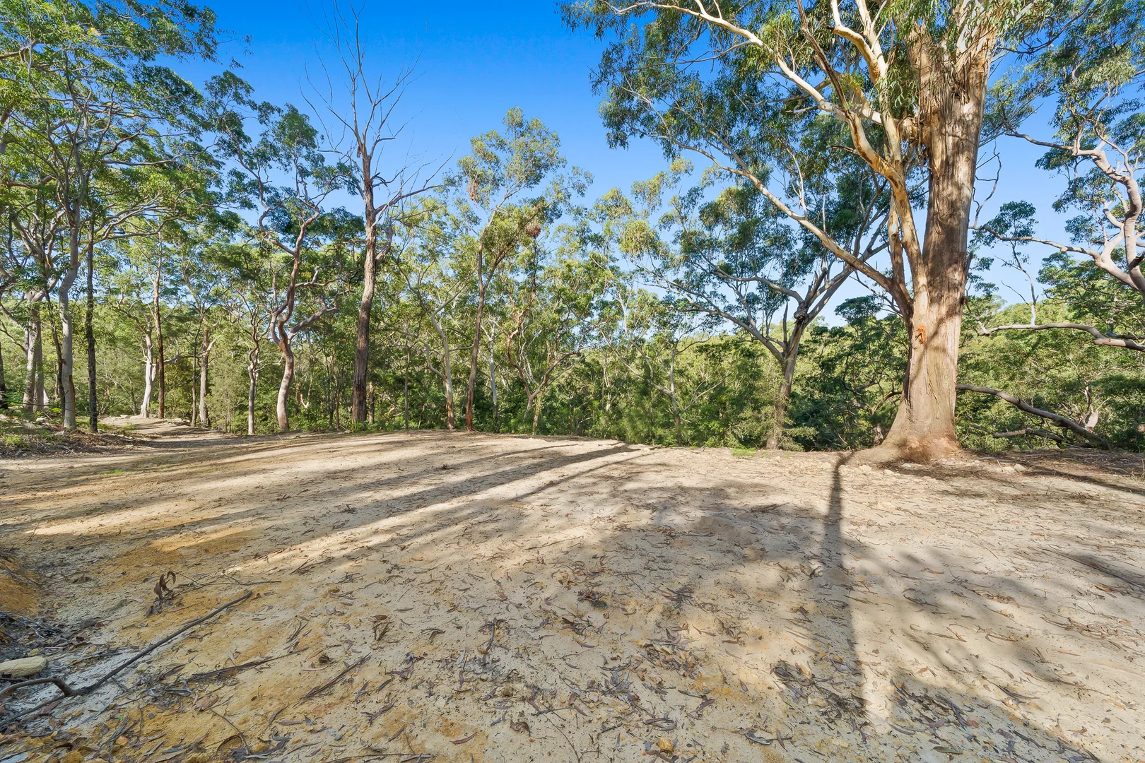 Image 15