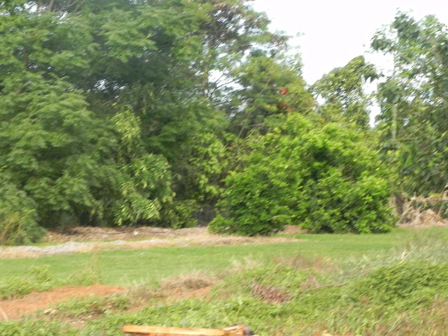 Image 15