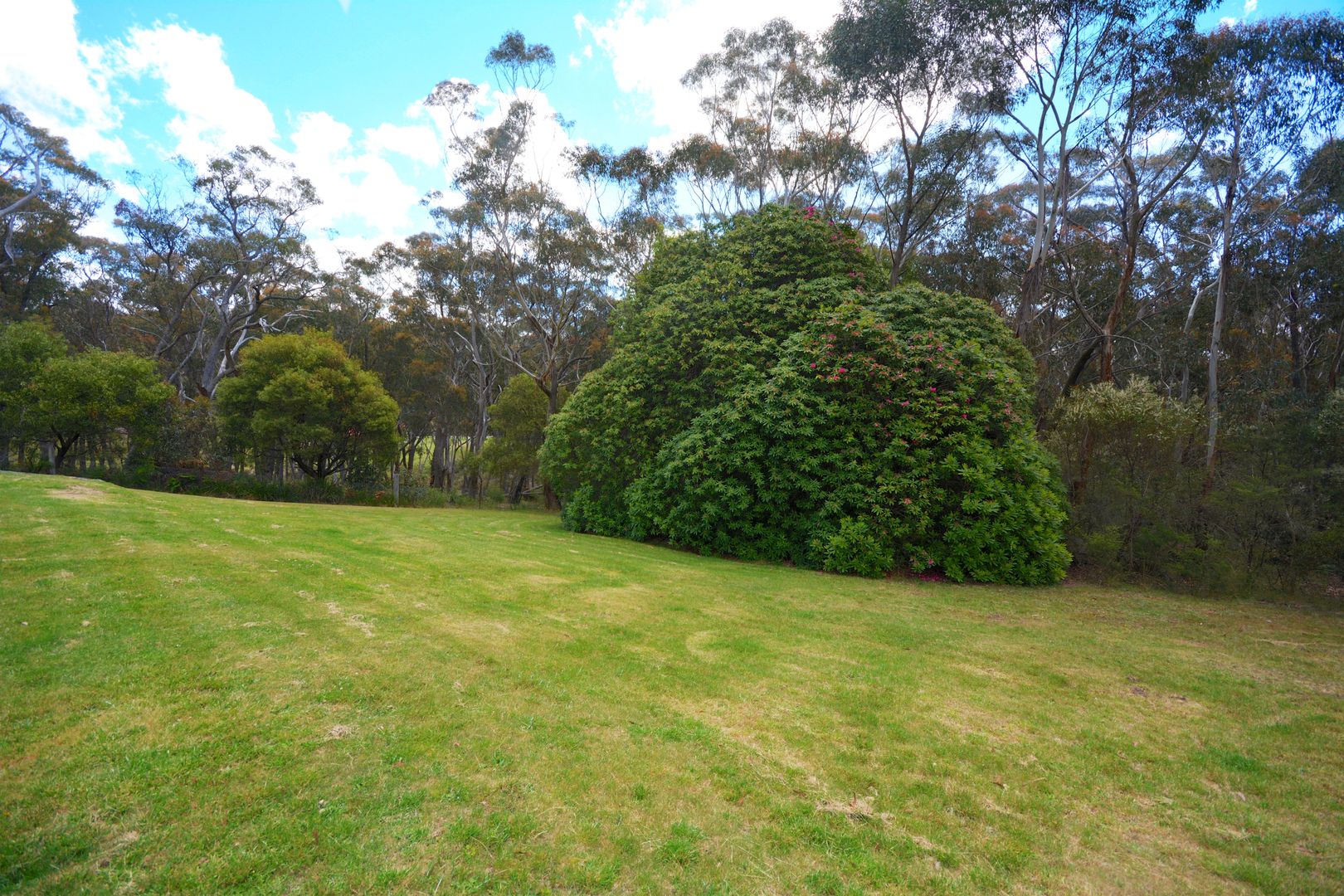 155 Shipley Road, Blackheath NSW 2785, Image 2