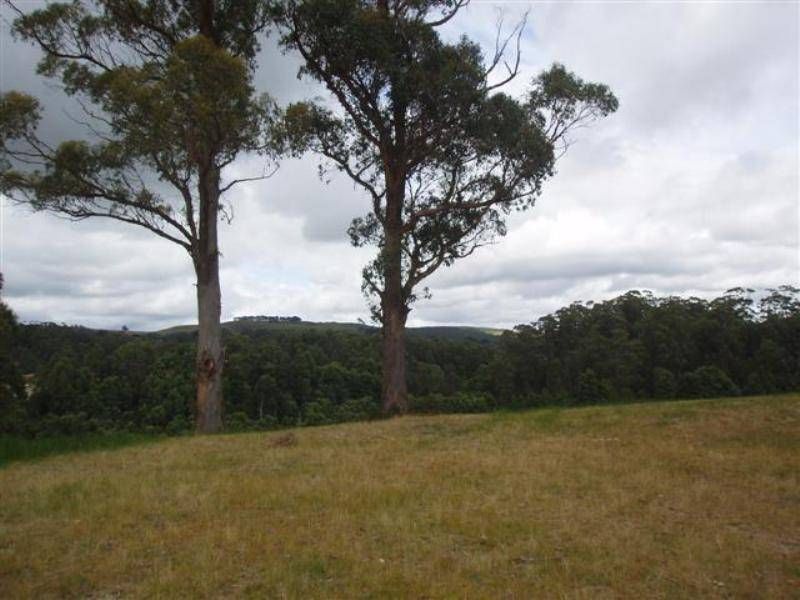 Lot 5 Hilders Road, Irishtown TAS 7330, Image 1