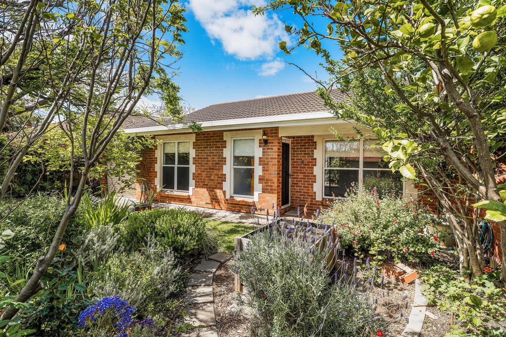 1/7 Almond Grove, Brighton SA 5048, Image 0