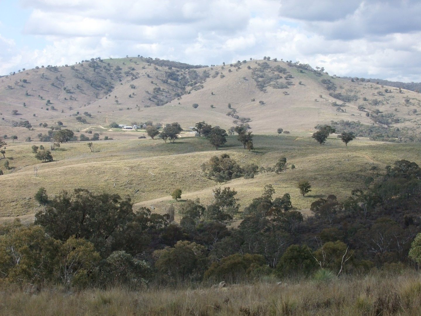 1931 The Bridle Track, Bruinbun NSW 2795, Image 0