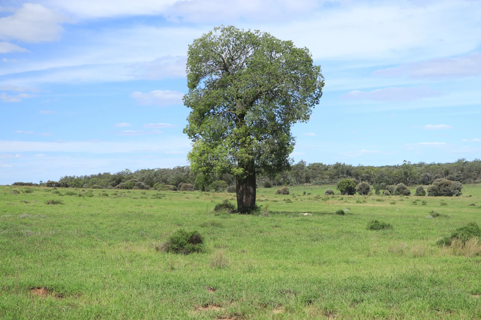 Additional image 2 of 952 Yuleba Surat Road, Yuleba QLD 4427