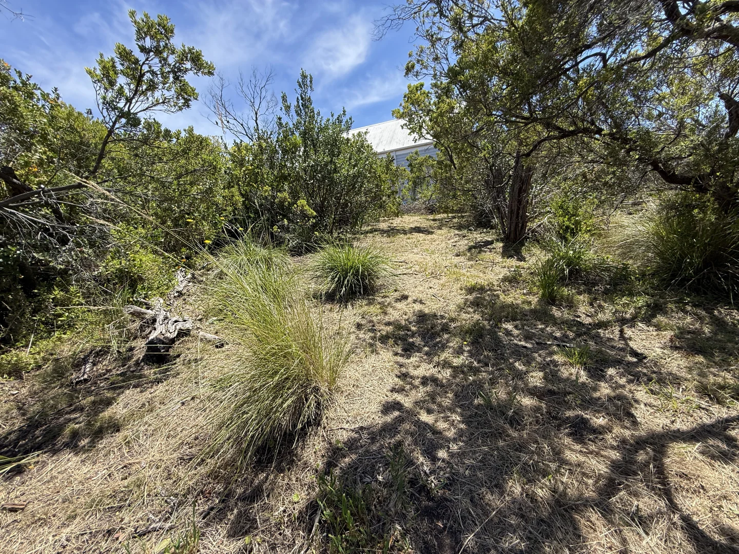 Image 8