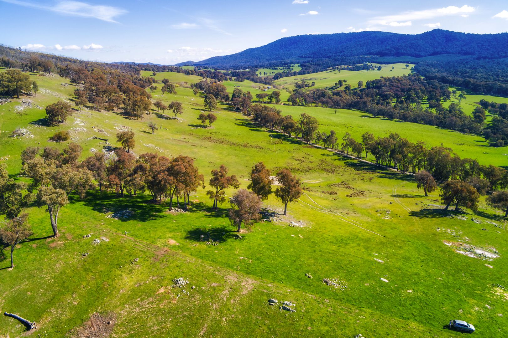 Lot 1 & 2 Martins Lane, Bruarong VIC 3749, Image 1