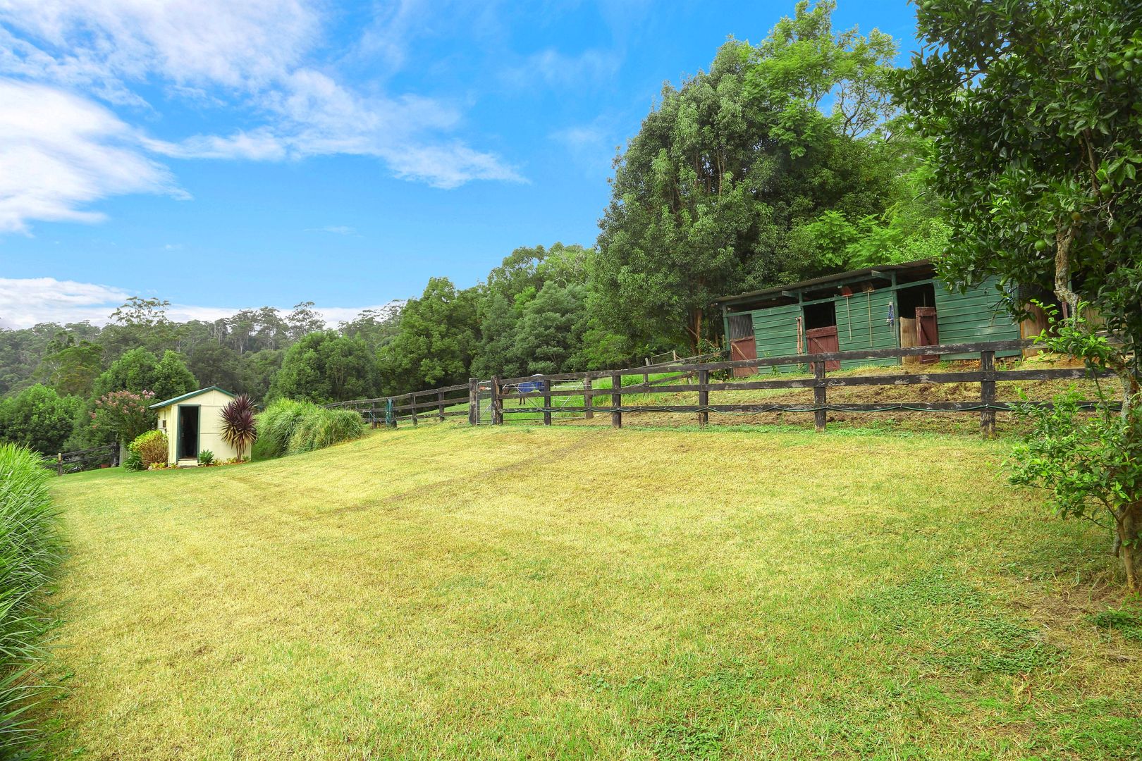 19 Peach Orchard Road, Ourimbah NSW 2258, Image 2