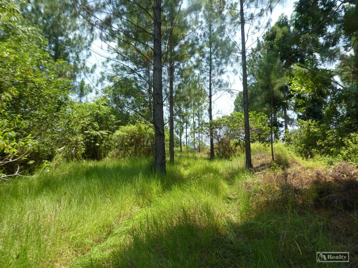 Additional image 5 of Eubenangee QLD 4860
