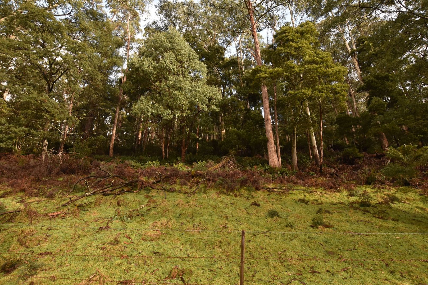 Lot 5 Liena Rd, Liena TAS 7304, Image 1