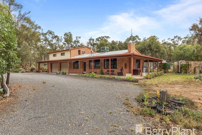 Picture of 102 Bealiba South Road, DUNLUCE VIC 3472