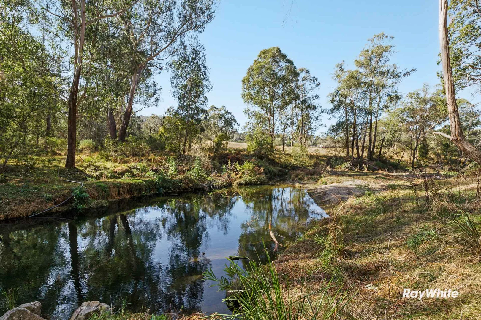 Additional image 18 of 420 Larrys Mountain Road, Moruya NSW 2537