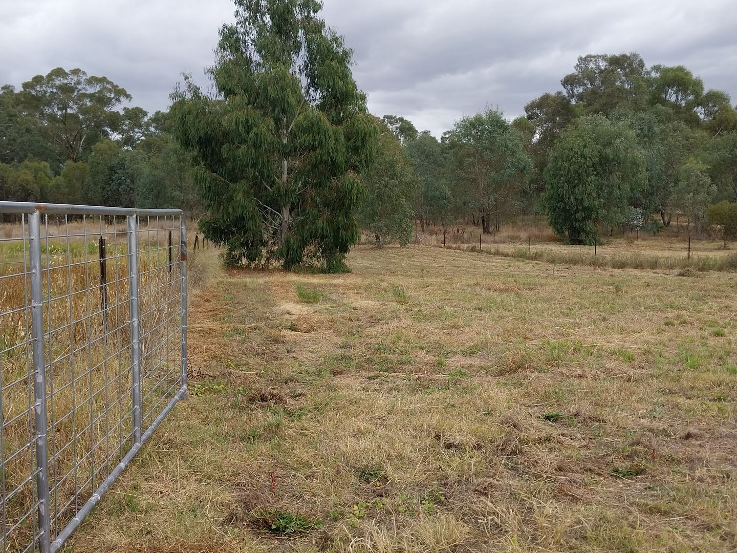 Vacant land in 1 Short Street, DUNOLLY VIC, 3472