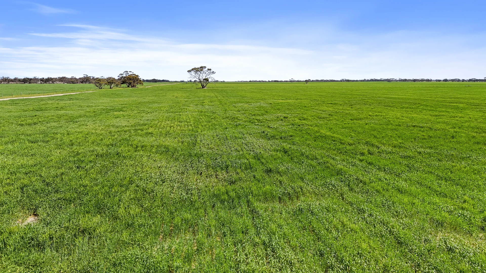 Additional image 30 of 714 Buccleuch South Road, Yumali SA 5261