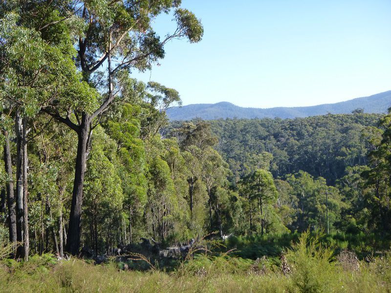 Lot 964 Mt Darragh Road, Lochiel NSW 2549, Image 0