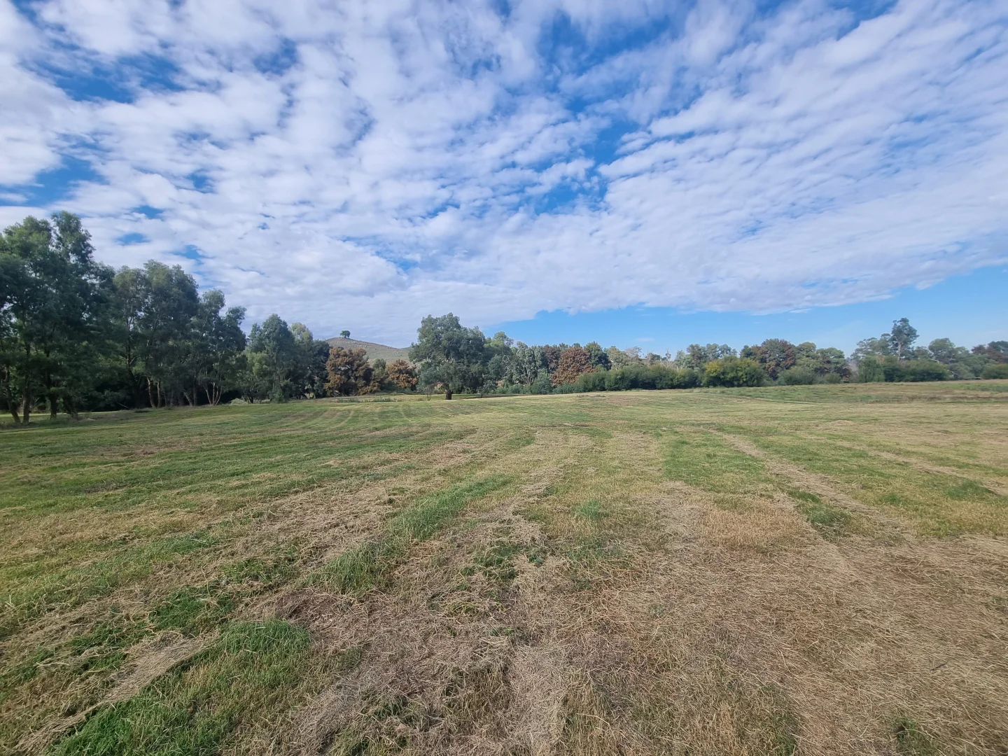 Additional image 7 of Lot Lot/316 Riverside Drive, Jugiong NSW 2726