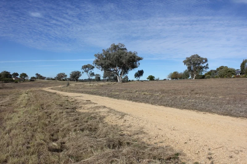 Image 15