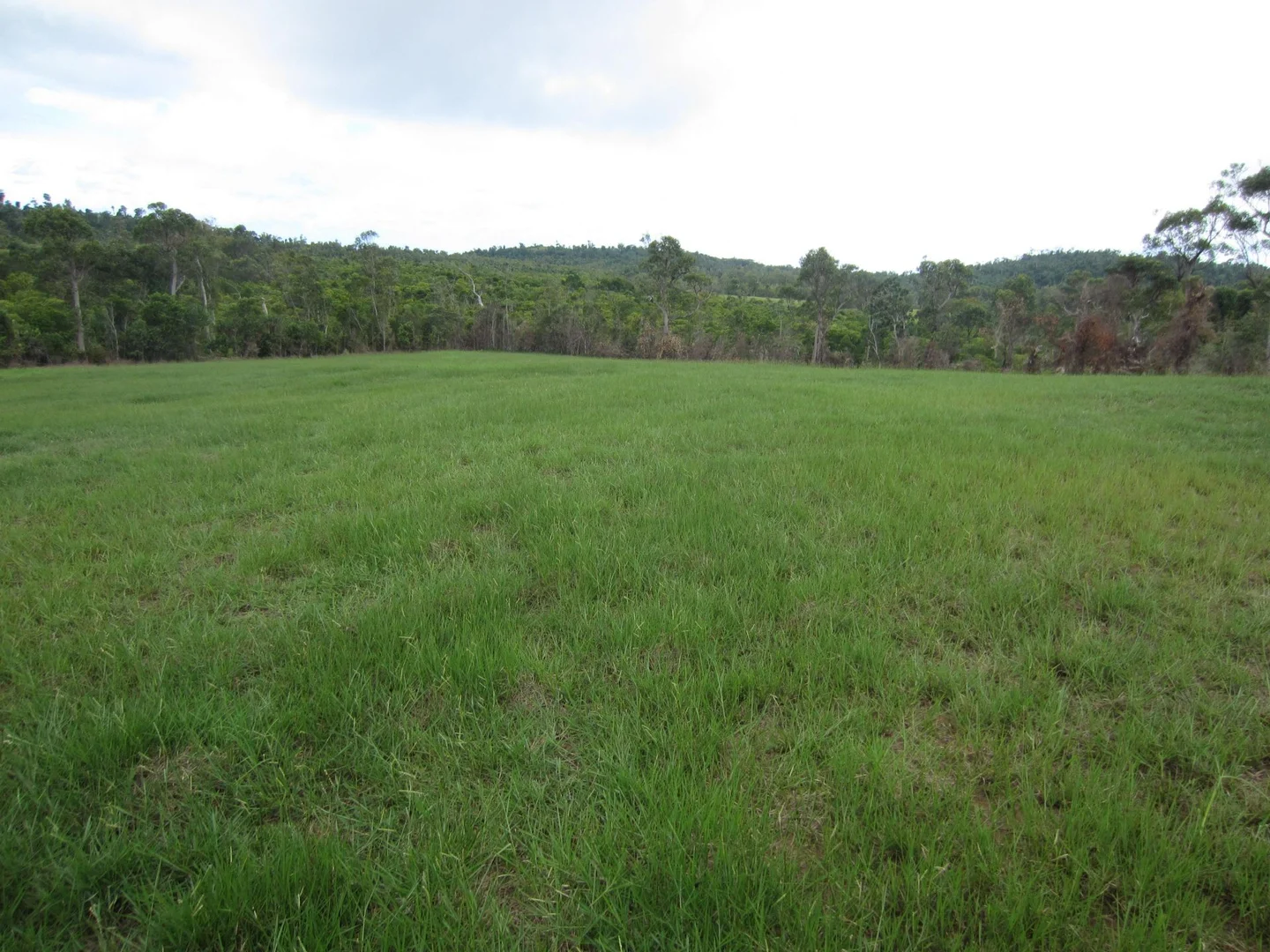 Image 15
