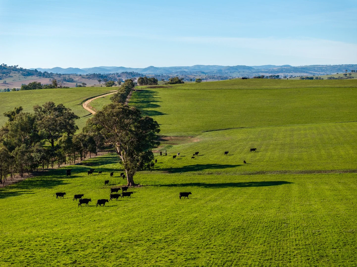 Primary image of 478 Illawong Road, Jugiong NSW 2726