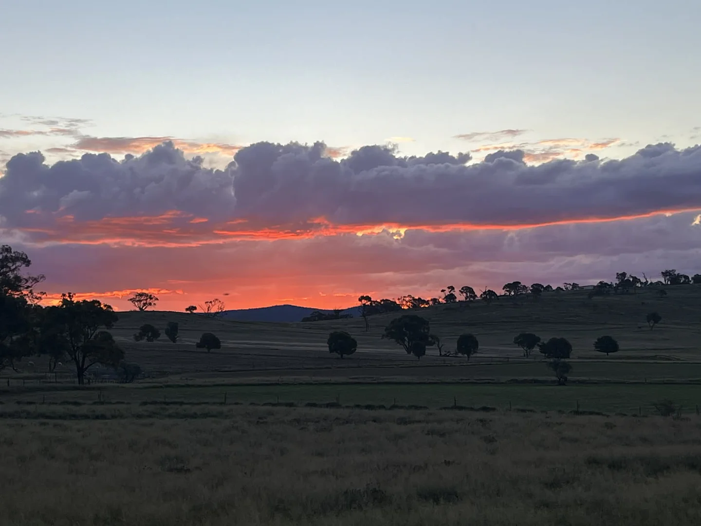 Additional image 18 of Lot 47 DP 751 Rothlyn Road Chakola NSW, Chakola NSW 2630